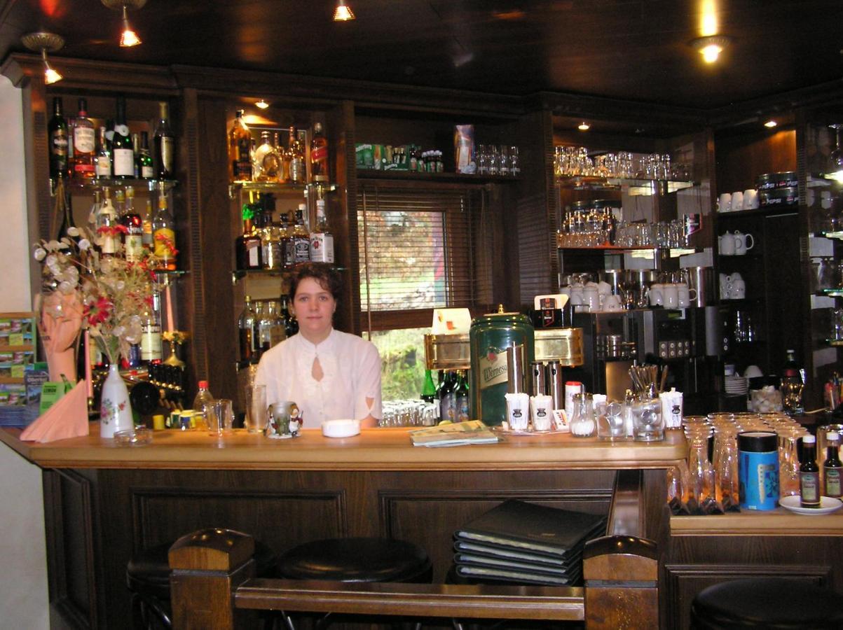 Hotel & Gasthaus Sterngrund Zella-Mehlis Zewnętrze zdjęcie