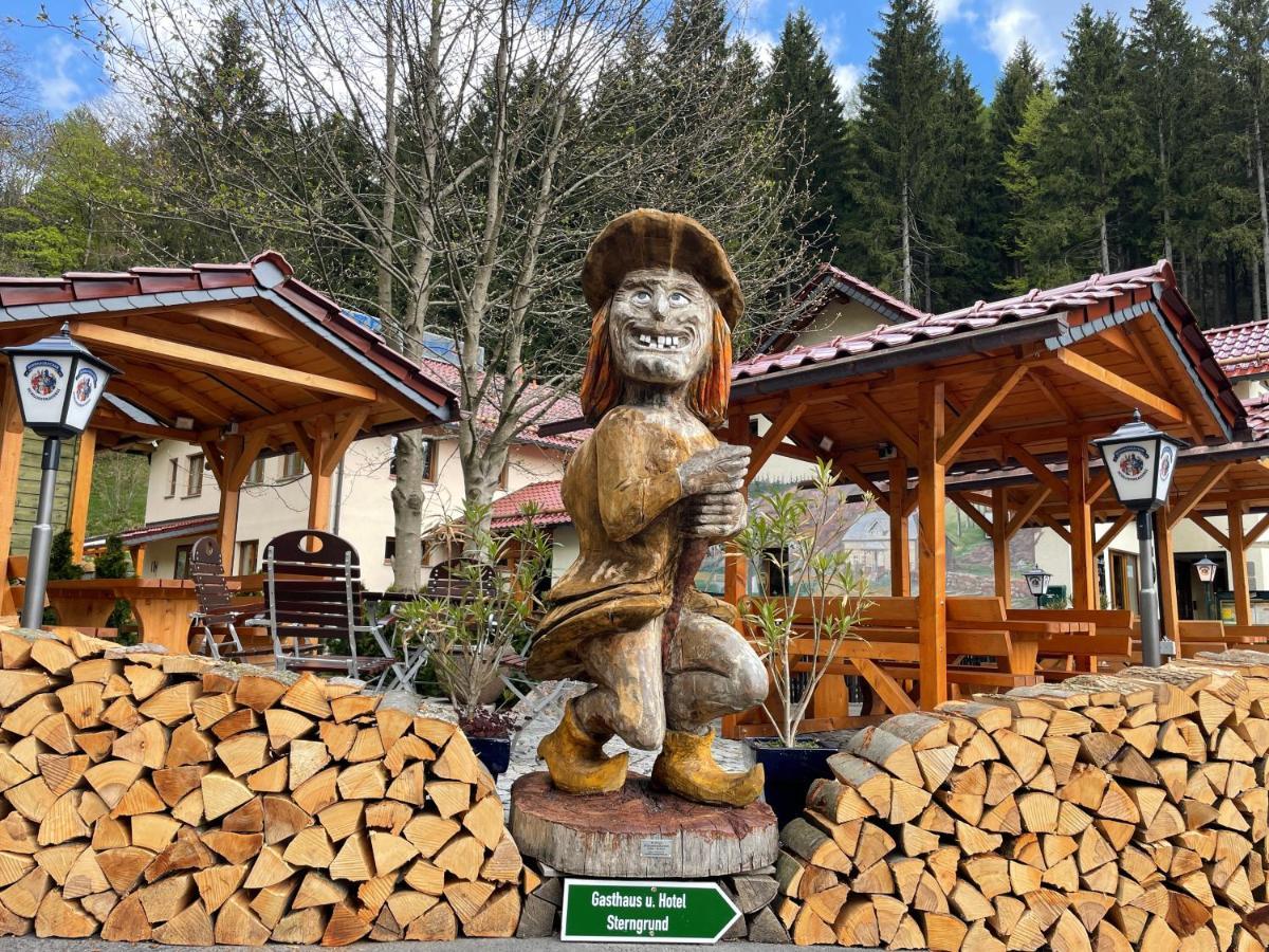 Hotel & Gasthaus Sterngrund Zella-Mehlis Zewnętrze zdjęcie