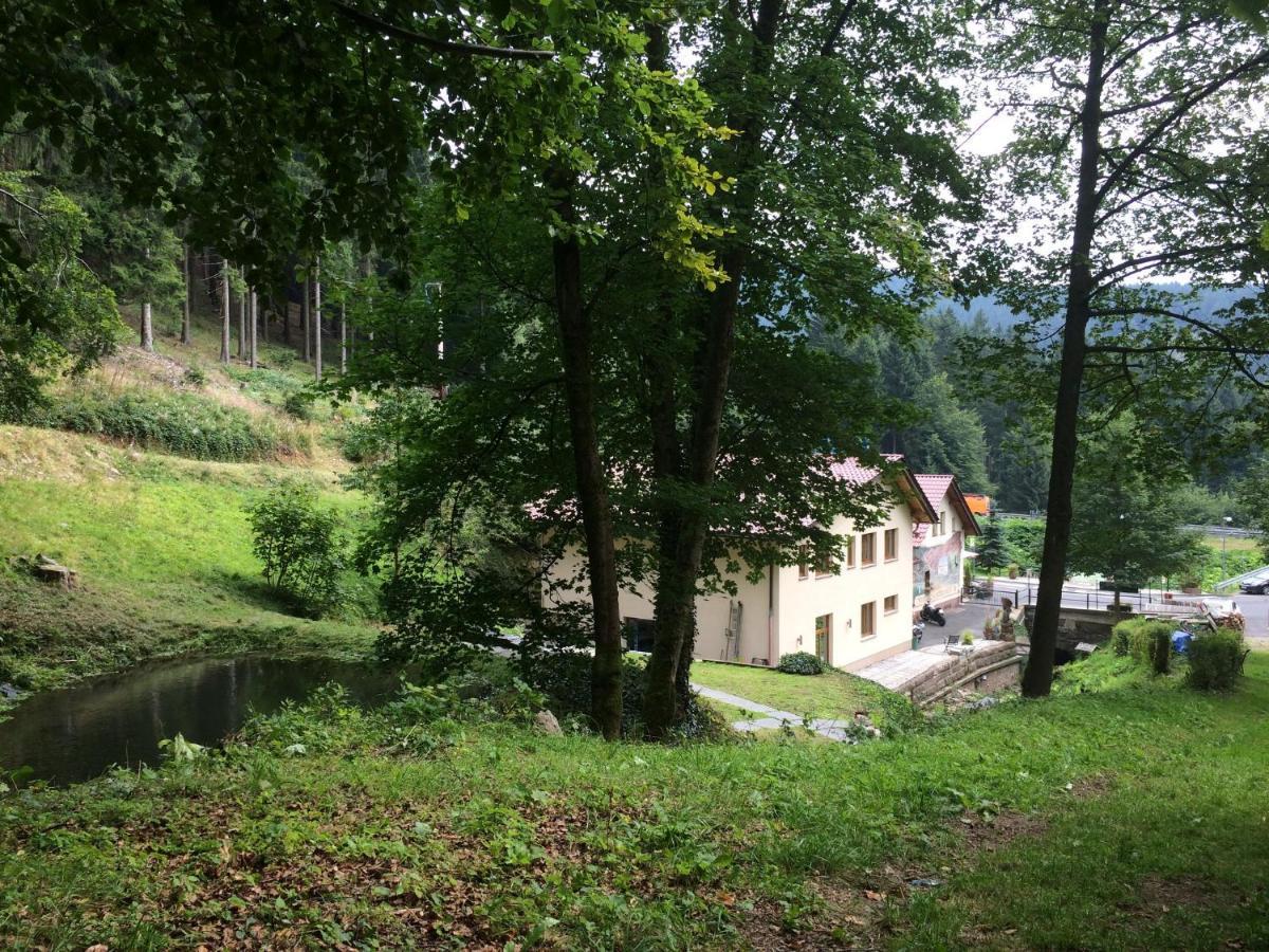 Hotel & Gasthaus Sterngrund Zella-Mehlis Zewnętrze zdjęcie