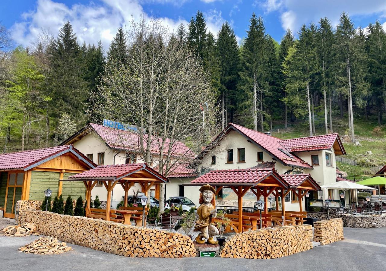 Hotel & Gasthaus Sterngrund Zella-Mehlis Zewnętrze zdjęcie