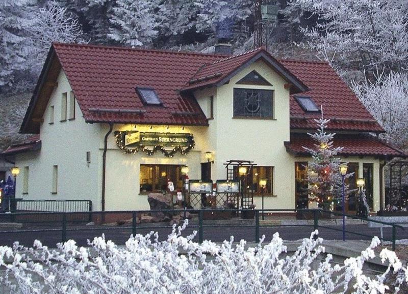 Hotel & Gasthaus Sterngrund Zella-Mehlis Zewnętrze zdjęcie