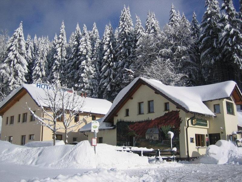 Hotel & Gasthaus Sterngrund Zella-Mehlis Zewnętrze zdjęcie