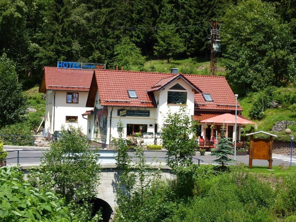 Hotel & Gasthaus Sterngrund Zella-Mehlis Zewnętrze zdjęcie